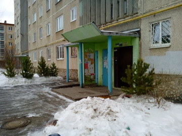 СПЕЦАВТОБАЗА НЕ СТАНЕТ ОРГАНИЗОВЫВАТЬ СПЕЦИАЛЬНЫЕ ПЛОЩАДКИ ДЛЯ УТИЛИЗАЦИИ НОВОГОДНИХ СОСЕН И ЕЛЕЙ