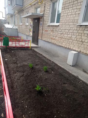 ЖИЛЬЦЫ ЕЩЕ ПРИМЕРНО ТРЕХ ДЕСЯТКОВ ДОМОВ В ПОСЛЕДНИЕ ДНИ БЫЛИ ЗАМЕЧЕНЫ НА УБОРКЕ ДВОРОВЫХ КЛУМБ