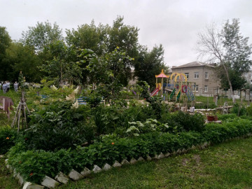 НЕСКОЛЬКО ДВОРОВ БОРЮТСЯ ЗА СТАТУС ОБЛАДАТЕЛЯ ЛУЧШЕЙ КЛУМБЫ КРАСНОГОРСКОГО РАЙОНА
