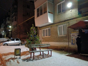 НЕ ВСЕ КАМЕНЦЫ РАДУЮТСЯ НОВОГОДНЕЙ АТРИБУТИКЕ