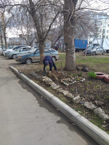 ПОГОДА В ЭТОМ ГОДУ НЕСКОЛЬКО ОТСРОЧИЛА ВЕСЕННЮЮ УБОРКУ ДВОРОВЫХ ГАЗОНОВ