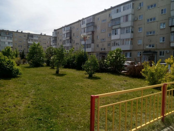 ДВОРОВ, ГДЕ СИЛАМИ ИНИЦИАТИВНЫХ ЖИТЕЛЕЙ ВЫРОСЛИ НАСТОЯЩИЕ САДЫ, В КАМЕНСКЕ ДОСТАТОЧНО