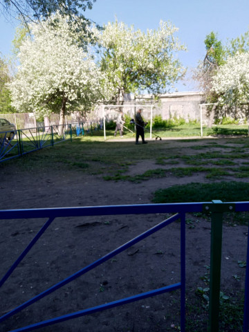 ВО ДВОРАХ КУДЕЗ ПОЛНЫМ ХОДОМ ИДЕТ ВТОРОЙ ПОКОС ТРАВЫ