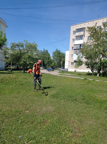 НА СЛЕДУЮЩЕЙ НЕДЕЛЕ В ЛЬВИНОЙ ДОЛЕ ДВОРОВ ЗАВЕРШИТСЯ ТРЕТЬЯ ВОЛНА КОШЕНИЯ ТРАВЫ