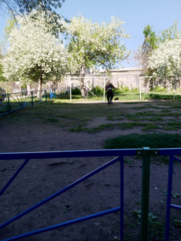 ПОЛНЫМ ХОДОМ ИДЕТ ВТОРОЙ КРУГ ПОКОСОВ ПРИДОМОВЫХ ТЕРРИТОРИЙ