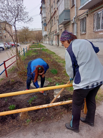 ЖИТЕЛИ ПРОДОЛЖАЮТ НАВОДИТЬ ПОРЯДОК НА КЛУМБАХ У СЕБЯ ВО ДВОРАХ