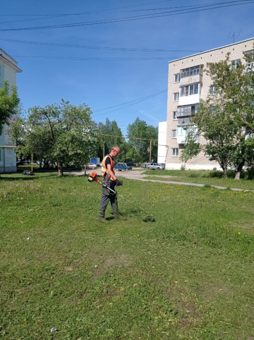 ПОДРЯДЧИКИ КУДЕЗ АКТИВНО КОСЯТ ТРАВУ ВО ДВОРАХ