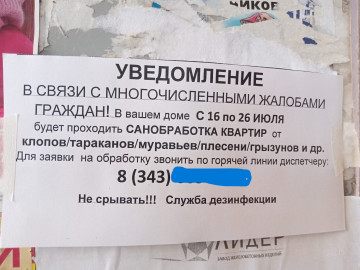 ДОМА ЖИЛИЩНОГО УЧАСТКА № 11 ВНОВЬ ЗАПОЛОНИЛИ ОБЪЯВЛЕНИЯ О ПРОВЕДЕНИИ САНОБРАБОТКИ КВАРТИР